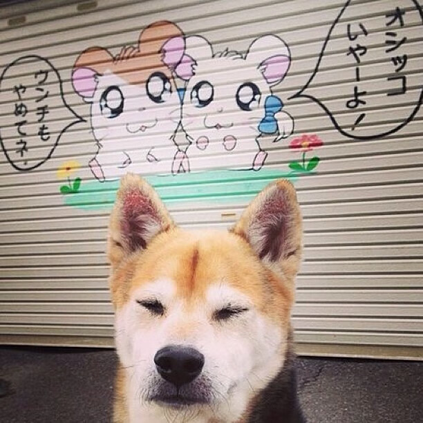 九游.中国官网-球员心理辅导体制不完善，球员心理辅导体制不完善的原因