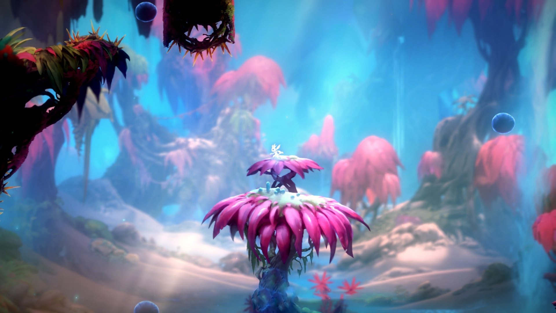 九游娱乐平台-自由泳战术布置灵活应变,自由泳讲解