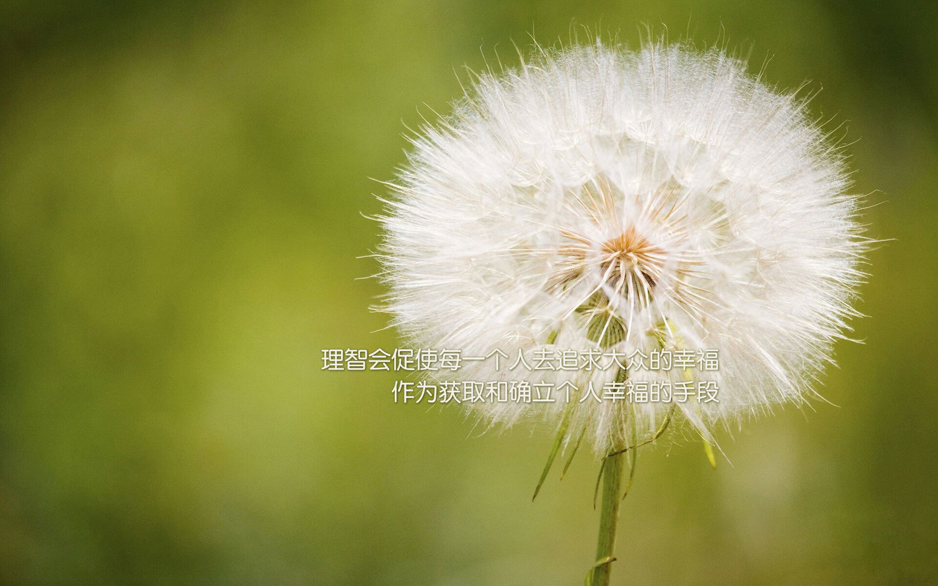 九游体育官网入口-CBA季后赛球票抢购火爆彰显联赛关注度和商业价值持续上升,cba新赛季球票