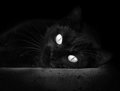 九游官网入口充值-南非水球淘汰赛鏖战晋级，南非水系分布图